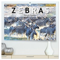 Zebras, Stars in Streifen (hochwertiger Premium Wandkalender 2025 DIN A2 quer), Kunstdruck in Hochglanz - Calvendo;Styppa, Robert