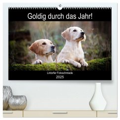 Goldig durch das Jahr! (hochwertiger Premium Wandkalender 2025 DIN A2 quer), Kunstdruck in Hochglanz - Calvendo;Bohlmann, Jennifer