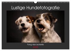 Fang das Leckerlie (Wandkalender 2025 DIN A3 quer), CALVENDO Monatskalender - Calvendo;Heggemann / Eyecatcher-Fotografie, Christiane