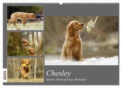 Chesley Kleiner Hund Grosses Abenteuer (Wandkalender 2025 DIN A2 quer), CALVENDO Monatskalender