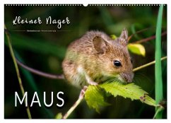 Kleiner Nager - Maus (Wandkalender 2025 DIN A2 quer), CALVENDO Monatskalender