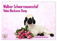 Walliser Schwarznasenschaf Valais Blacknose Sheep (Wandkalender 2025 DIN A2 quer), CALVENDO Monatskalender - Calvendo;Hutfluss, Jeanette