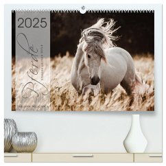 Spiegel deiner Seele (hochwertiger Premium Wandkalender 2025 DIN A2 quer), Kunstdruck in Hochglanz - Calvendo;Mischnik, Sabrina