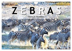 Zebras, Stars in Streifen (Wandkalender 2025 DIN A4 quer), CALVENDO Monatskalender - Calvendo;Styppa, Robert