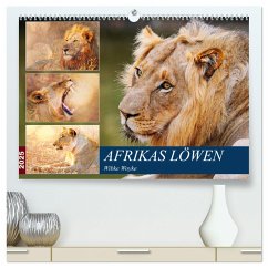 Afrikas Löwen 2025 (hochwertiger Premium Wandkalender 2025 DIN A2 quer), Kunstdruck in Hochglanz