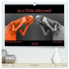 strucTEMs Mikrowelt - Winzige Nachbarn ganz groß (hochwertiger Premium Wandkalender 2025 DIN A2 quer), Kunstdruck in Hochglanz