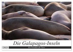 Galapagos-Inseln - Ein Paradies für Tiere (Wandkalender 2025 DIN A2 quer), CALVENDO Monatskalender