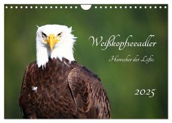 Weißkopfseeadler. Herrscher der Lüfte. 2025 (Wandkalender 2025 DIN A4 quer), CALVENDO Monatskalender