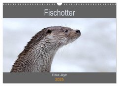 Fischotter, flinke Jäger (Wandkalender 2025 DIN A3 quer), CALVENDO Monatskalender