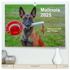 Malinois - Wahnsinn auf vier Pfoten (hochwertiger Premium Wandkalender 2025 DIN A2 quer), Kunstdruck in Hochglanz