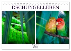 Dschungelleben - Tierportraits (Tischkalender 2025 DIN A5 quer), CALVENDO Monatskalender