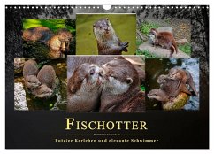 Fischotter - putzige Kerlchen und elegante Schwimmer (Wandkalender 2025 DIN A3 quer), CALVENDO Monatskalender - Calvendo;Roder, Peter