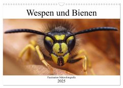 Faszination Makrofotografie: Wespen und Bienen (Wandkalender 2025 DIN A3 quer), CALVENDO Monatskalender