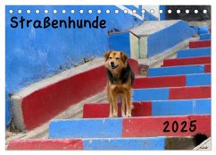 Straßenhunde 2025 (Tischkalender 2025 DIN A5 quer), CALVENDO Monatskalender