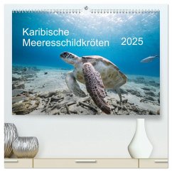 Karibische Meeresschildkröten (hochwertiger Premium Wandkalender 2025 DIN A2 quer), Kunstdruck in Hochglanz - Calvendo;& Tilo Kühnast - naturepics, Yvonne