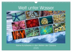 Kleine Kunstwerke in den Weiten der Ozeane (Wandkalender 2025 DIN A3 quer), CALVENDO Monatskalender