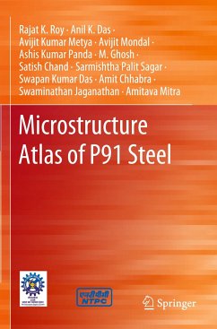 Microstructure Atlas of P91 Steel - Roy, Rajat K.;Das, Anil K.;Metya, Avijit Kumar