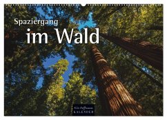 Spaziergang im Wald (Wandkalender 2025 DIN A2 quer), CALVENDO Monatskalender - Calvendo;Hoffmann, Nils