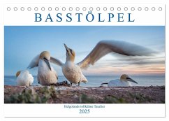 Basstölpel - Helgolands tollkühne Taucher (Tischkalender 2025 DIN A5 quer), CALVENDO Monatskalender
