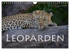 Leoparden - groß und klein (Wandkalender 2025 DIN A4 quer), CALVENDO Monatskalender