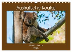 Australische Koalas (Wandkalender 2025 DIN A3 quer), CALVENDO Monatskalender