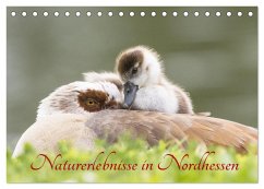 Naturerlebnisse in Nordhessen (Tischkalender 2025 DIN A5 quer), CALVENDO Monatskalender