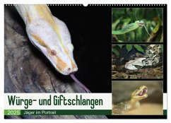 Würge- und Giftschlangen (Wandkalender 2025 DIN A2 quer), CALVENDO Monatskalender - Calvendo