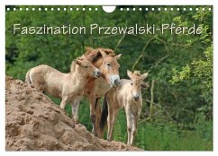 Faszination Przewalski-Pferde (Wandkalender 2025 DIN A4 quer), CALVENDO Monatskalender