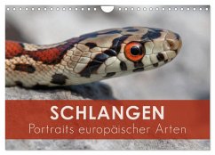 Schlangen - Portraits europäischer Arten (Wandkalender 2025 DIN A4 quer), CALVENDO Monatskalender