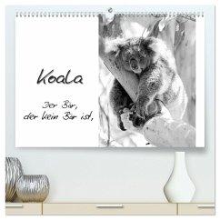 Koala Ein Bär, der kein Bär ist (hochwertiger Premium Wandkalender 2025 DIN A2 quer), Kunstdruck in Hochglanz