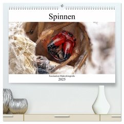 Faszination Makrofotografie: Spinnen (hochwertiger Premium Wandkalender 2025 DIN A2 quer), Kunstdruck in Hochglanz