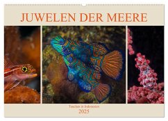 Juwelen der Meere (Wandkalender 2025 DIN A2 quer), CALVENDO Monatskalender