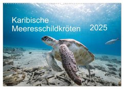 Karibische Meeresschildkröten (Wandkalender 2025 DIN A2 quer), CALVENDO Monatskalender