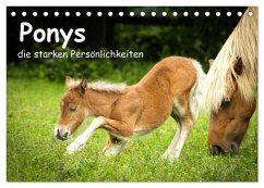 Ponys, die starken Persönlichkeiten (Tischkalender 2025 DIN A5 quer), CALVENDO Monatskalender