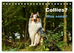 Collies? Was sonst! (Tischkalender 2025 DIN A5 quer), CALVENDO Monatskalender