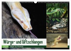 Würge- und Giftschlangen (Wandkalender 2025 DIN A3 quer), CALVENDO Monatskalender