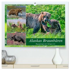 Alaskas Braunbären - Begegnungen der bärigen Art (hochwertiger Premium Wandkalender 2025 DIN A2 quer), Kunstdruck in Hochglanz