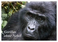 Gorillas ohne Nebel (Wandkalender 2025 DIN A3 quer), CALVENDO Monatskalender