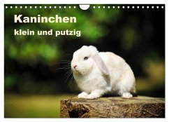 Kaninchen klein und putzig (Wandkalender 2025 DIN A4 quer), CALVENDO Monatskalender