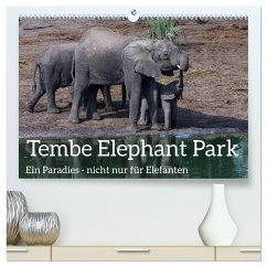 Tembe Elephant Park. Ein Paradies - nicht nur für Elefanten (hochwertiger Premium Wandkalender 2025 DIN A2 quer), Kunstdruck in Hochglanz - Calvendo;rsiemer