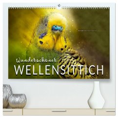 Wunderschöner Wellensittich (hochwertiger Premium Wandkalender 2025 DIN A2 quer), Kunstdruck in Hochglanz
