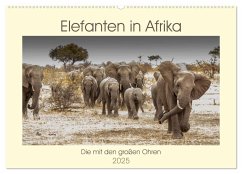 Elefanten in Afrika - Die mit den großen Ohren (Wandkalender 2025 DIN A2 quer), CALVENDO Monatskalender
