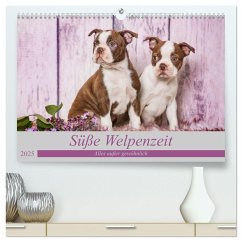 Süße Welpenzeit - Alles außer gewöhnlich (hochwertiger Premium Wandkalender 2025 DIN A2 quer), Kunstdruck in Hochglanz