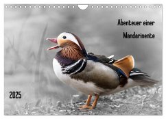 Abenteuer einer Mandarinente (Wandkalender 2025 DIN A4 quer), CALVENDO Monatskalender