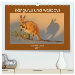Kängururs und Wallabys (hochwertiger Premium Wandkalender 2025 DIN A2 quer), Kunstdruck in Hochglanz