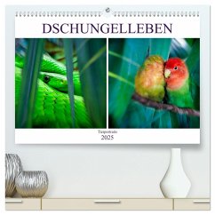 Dschungelleben - Tierportraits (hochwertiger Premium Wandkalender 2025 DIN A2 quer), Kunstdruck in Hochglanz