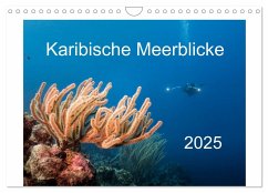 Karibische Meerblicke (Wandkalender 2025 DIN A4 quer), CALVENDO Monatskalender - Calvendo;Kühnast, Yvonne