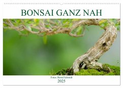 Bonsai ganz nah (Wandkalender 2025 DIN A2 quer), CALVENDO Monatskalender - Calvendo;Schmidt, Bernd