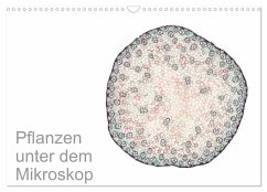 Pflanzen unter dem Mikroskop (Wandkalender 2025 DIN A3 quer), CALVENDO Monatskalender - Calvendo;Schreiter, Martin