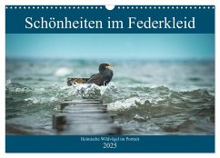 Schönheiten im Federkleid - Heimische Wildvögel im Portrait (Wandkalender 2025 DIN A3 quer), CALVENDO Monatskalender